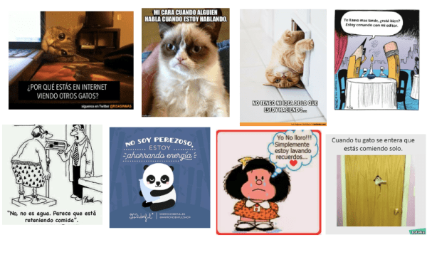 Screen Shot 2018-11-01 at 10.05.44 PM